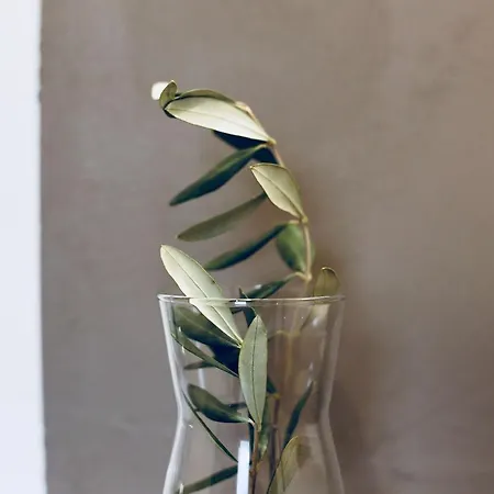 Bed & Breakfast La Mitria Trani