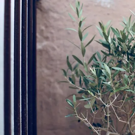 La Mitria Bed & Breakfast *