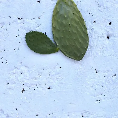 Bed & Breakfast La Mitria 3*