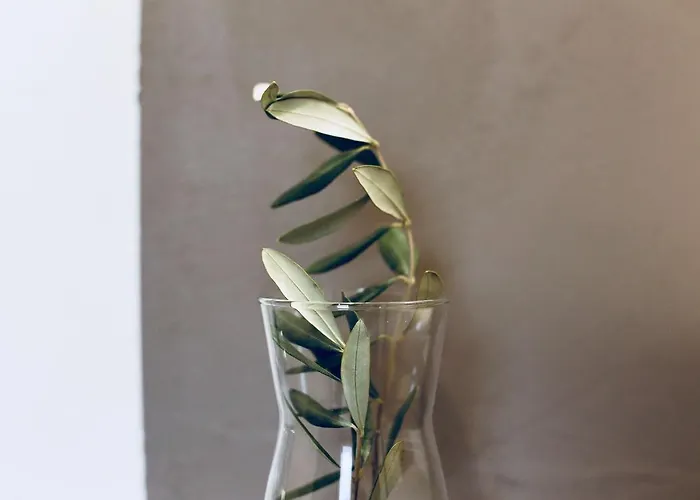 לינה וארוחת בוקר La Mitria טרני