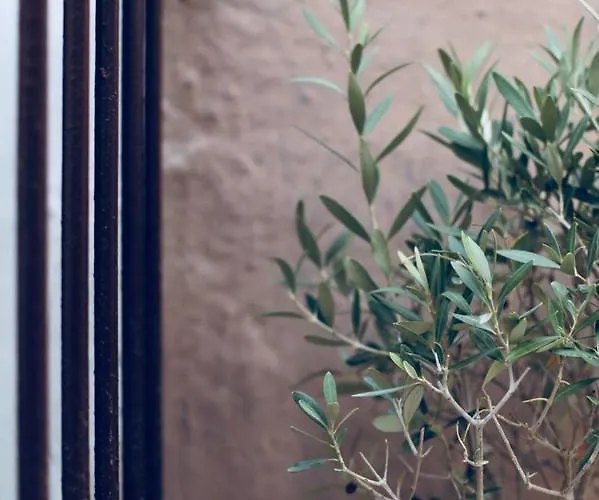 La Mitria 住宿加早餐酒店 3*