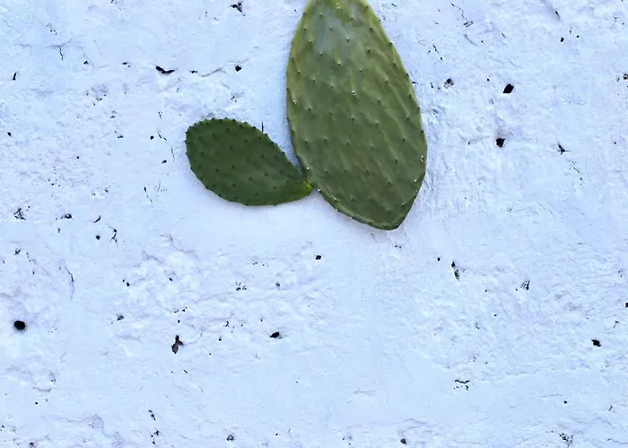 לינה וארוחת בוקר La Mitria 3*